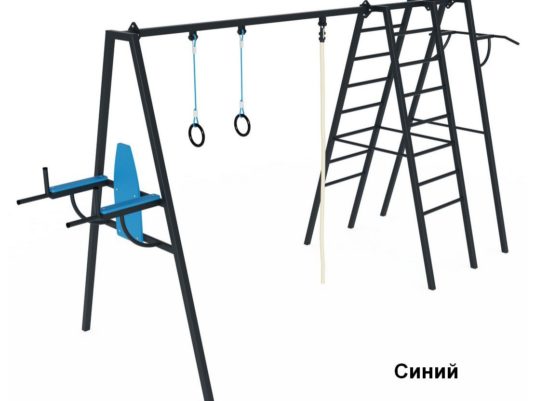 На фото СК 6.316 Спортивный комплекс из раздела Спортивное оборудование сайта производителя в Санкт-Петербурге - Dgorodki.ru