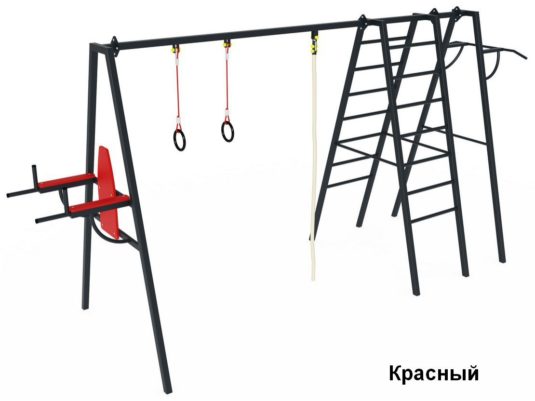 На фото СК 6.316 Спортивный комплекс из раздела Спортивное оборудование сайта производителя в Санкт-Петербурге - Dgorodki.ru
